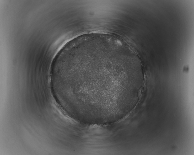 X0000115480290200911201846