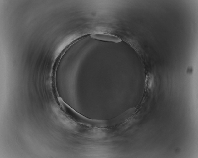 X0000115480292200911201846