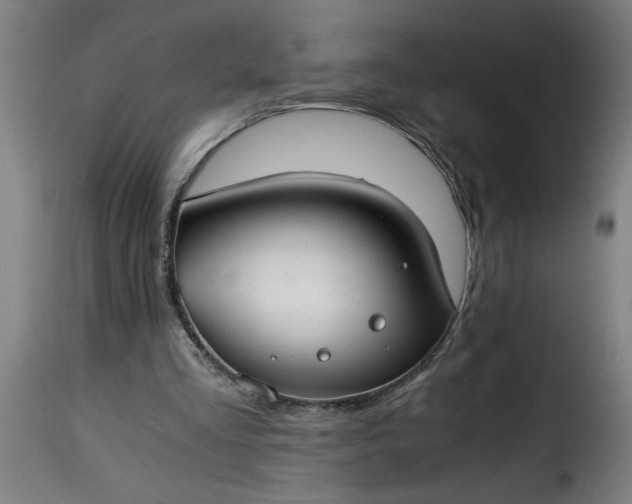 X0000115480293200911201846