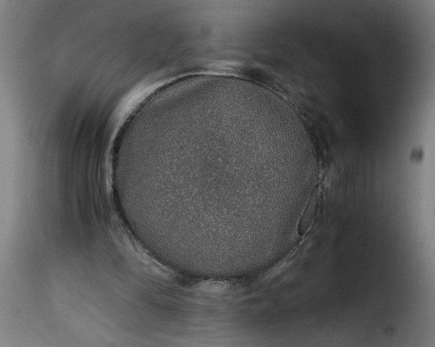 X0000115480294200911201846