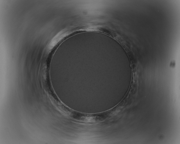 X0000115480295200911201846