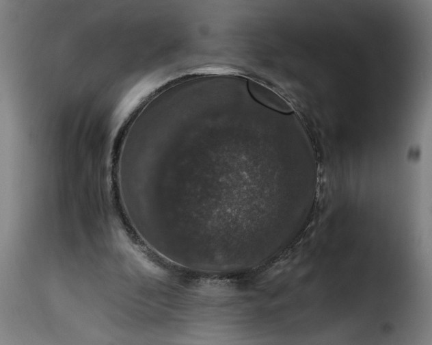 X0000115480296200911201846