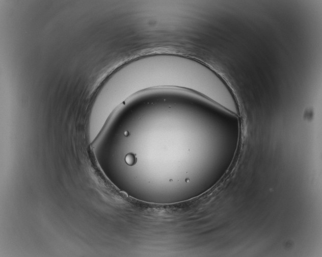 X0000115480297200911201846