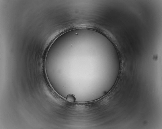 X0000115480298200911201846