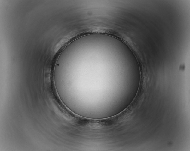 X0000115480299200911201846