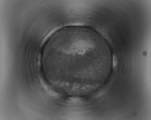 X0000115480300200911201846