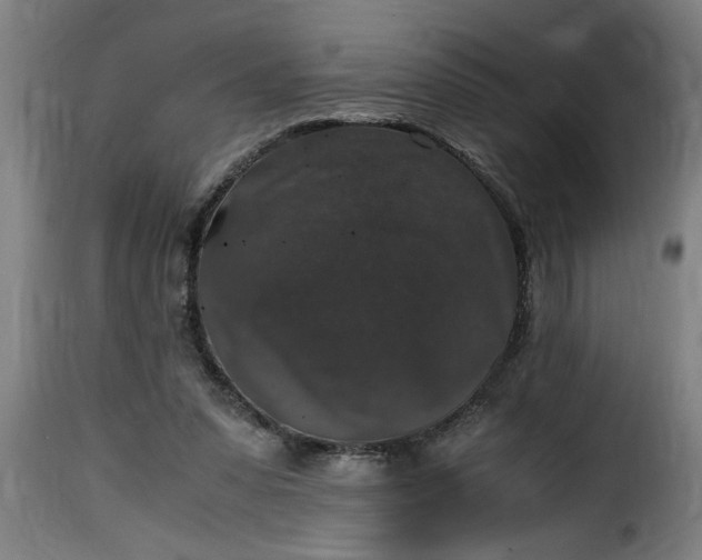 X0000115480303200911201846