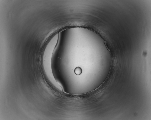 X0000115480304200911201846