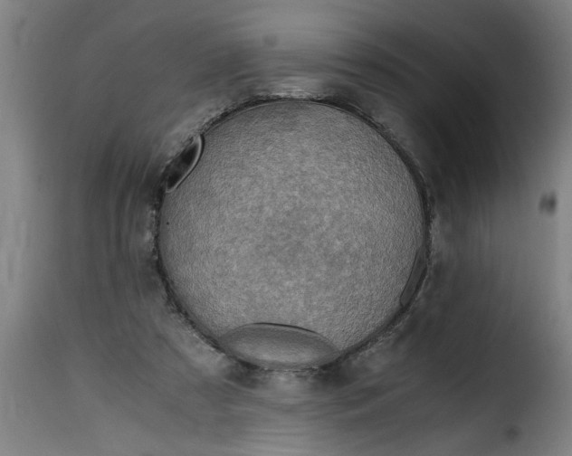 X0000115480305200911201846