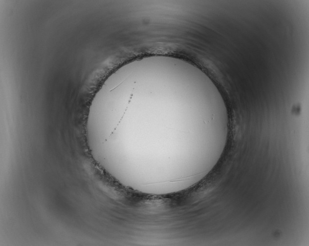 X0000115480307200911201846