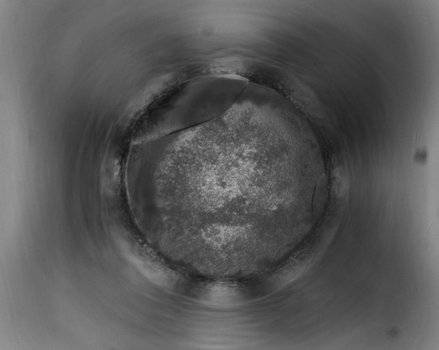 X0000115480308200911201846