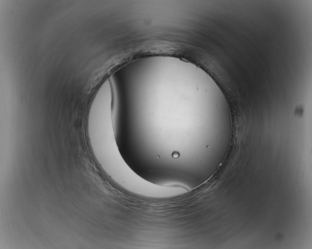 X0000115480309200911201846