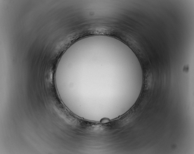 X0000115480310200911201846