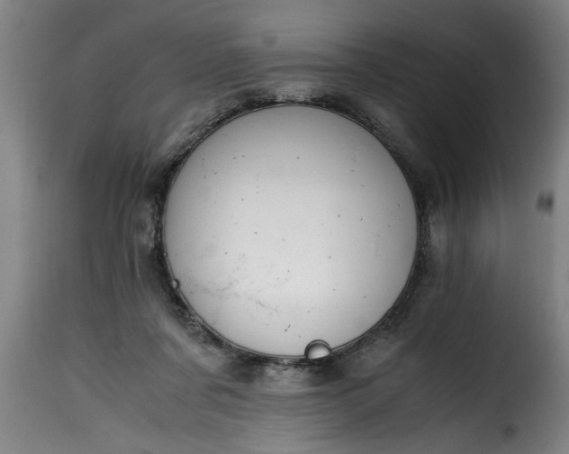 X0000115480311200911201846