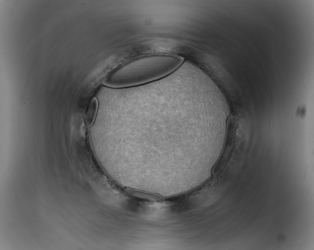 X0000115480313200911201846