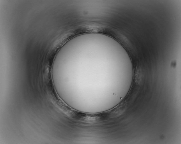 X0000115480314200911201846