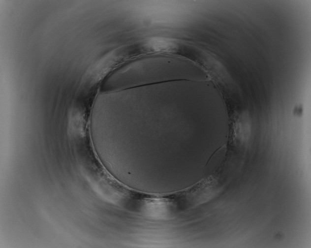 X0000115480316200911201846