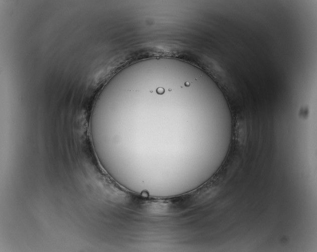 X0000115480318200911201846