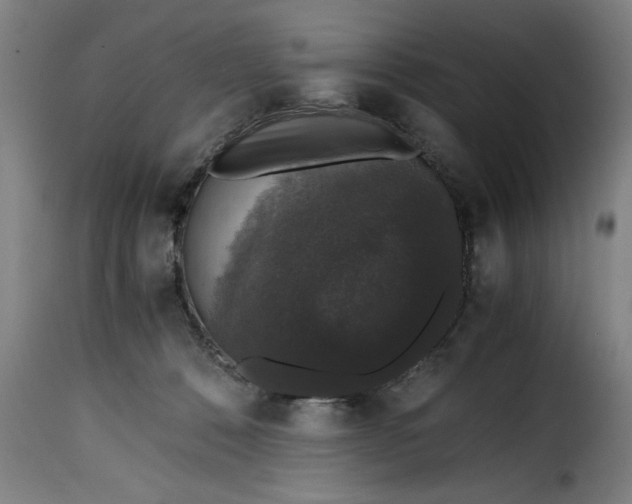 X0000115480320200911201846