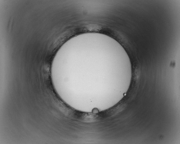 X0000115480321200911201846