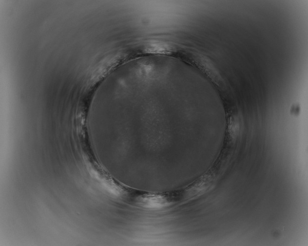 X0000115480322200911201846