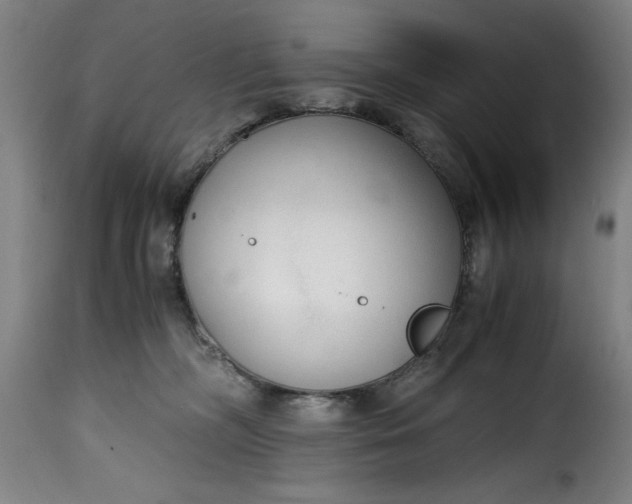 X0000115480326200911201846