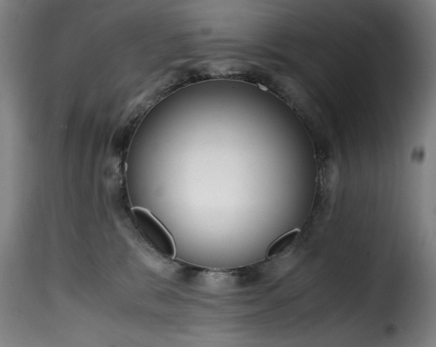 X0000115480327200911201846