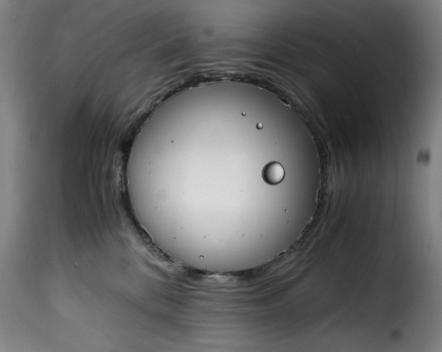 X0000115480328200911201845