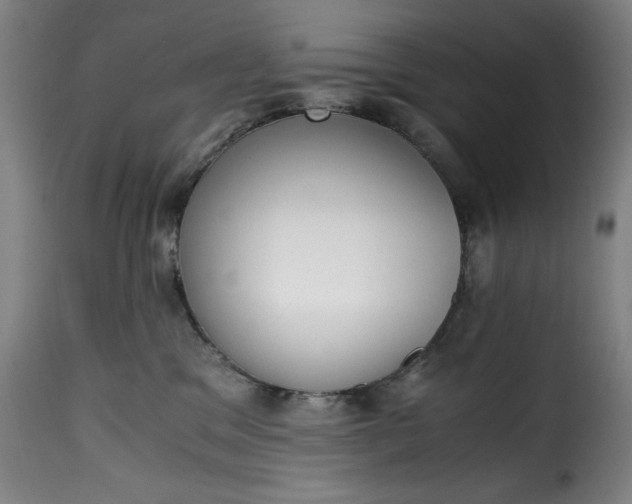 X0000115480329200911201845