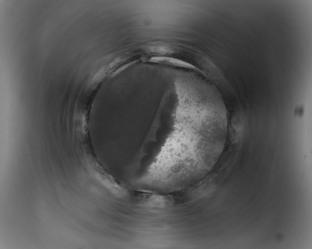 X0000115480330200911201845