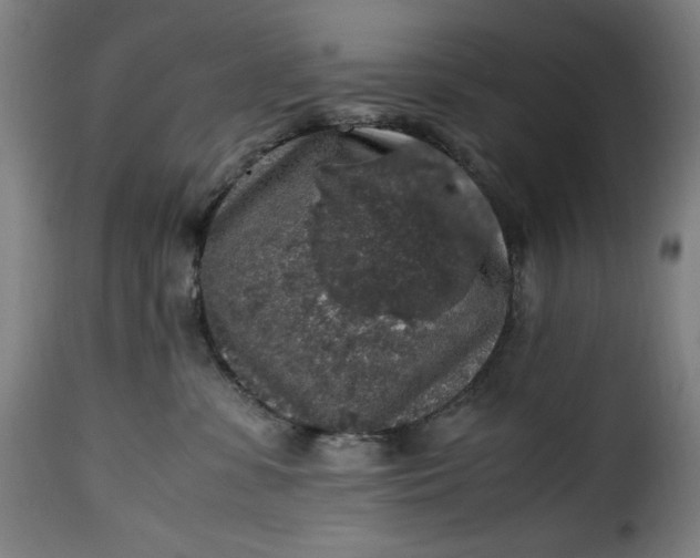 X0000115480331200911201845