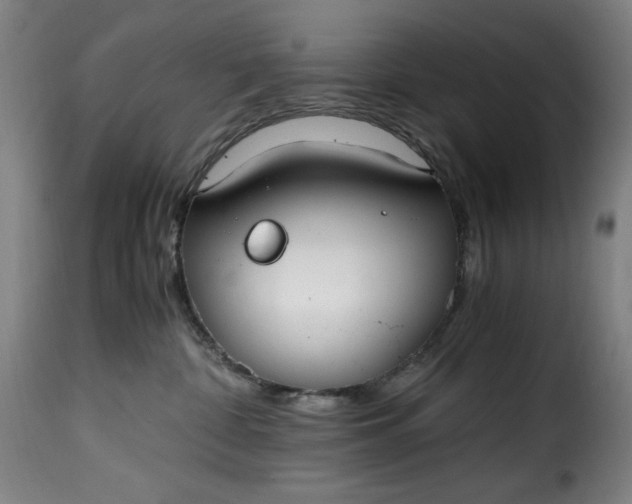 X0000115480332200911201845