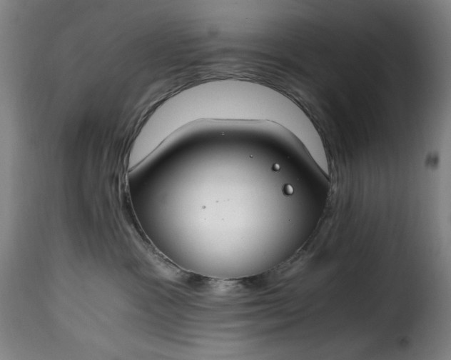 X0000115480333200911201845