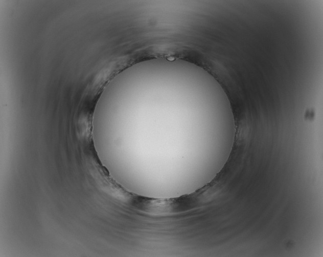 X0000115480335200911201845