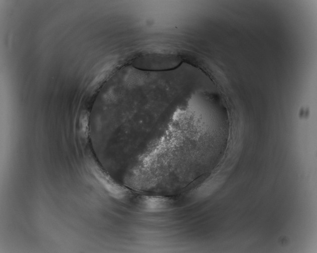 X0000115480336200911201845