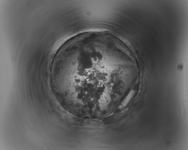 X0000115480337200911201845