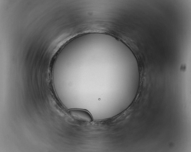 X0000115480338200911201845