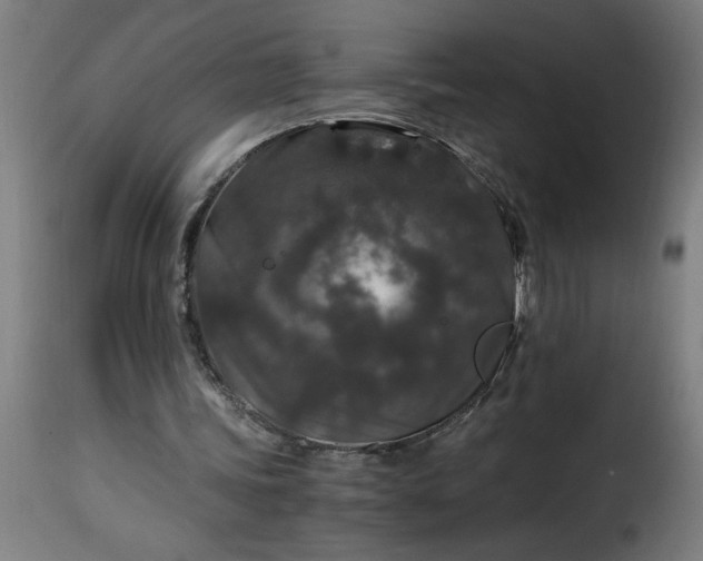 X0000115480339200911201845