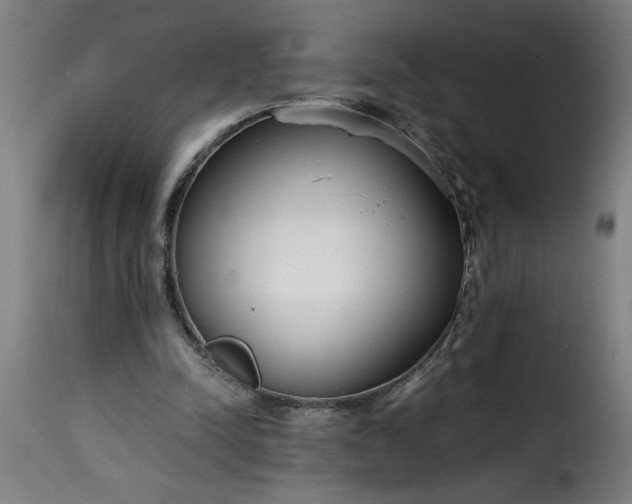 X0000115480342200911201845