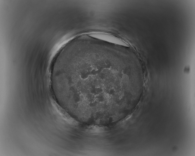 X0000115480343200911201845