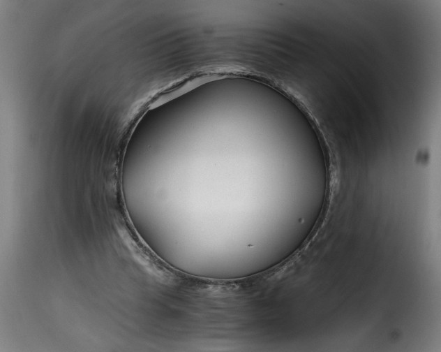 X0000115480345200911201845