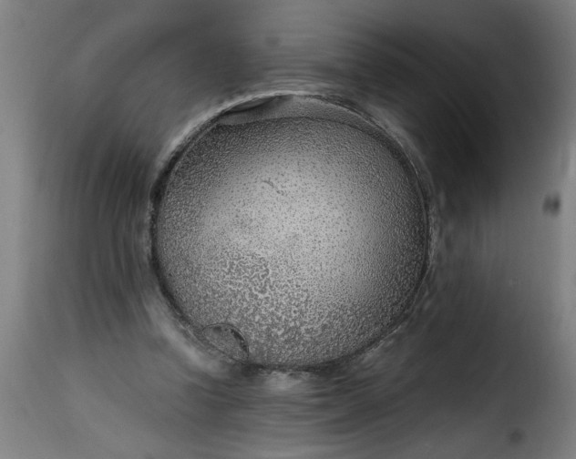 X0000115480346200911201845