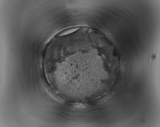 X0000115480347200911201845