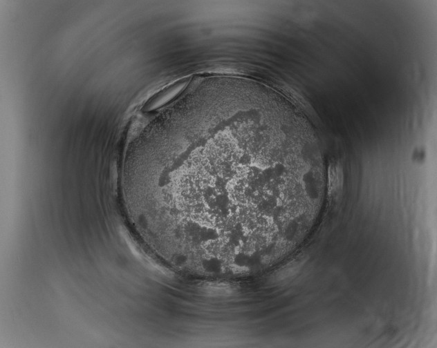 X0000115480349200911201845