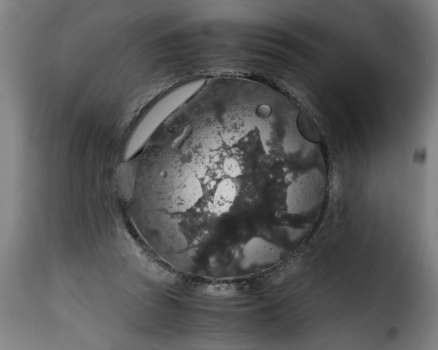 X0000115480353200911201845