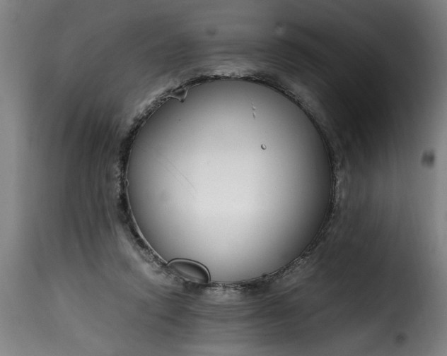 X0000115480354200911201845