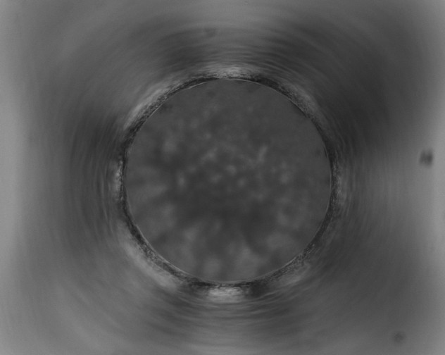 X0000115480357200911201845