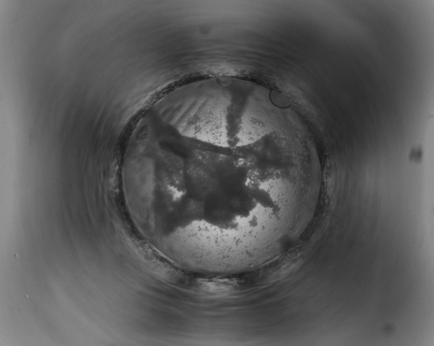 X0000115480359200911201845