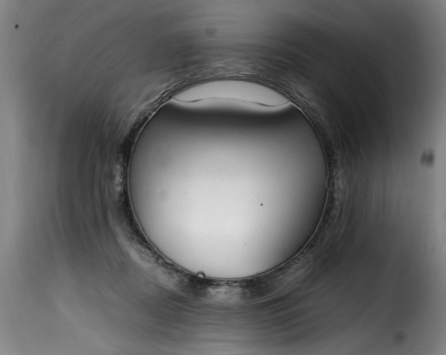 X0000115480362200911201845