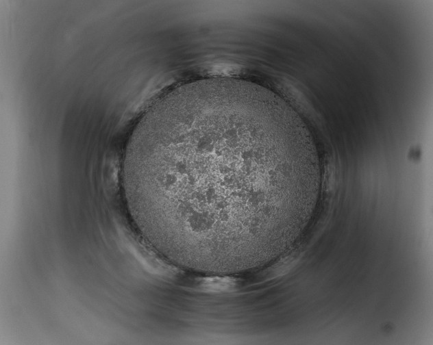 X0000115480363200911201845